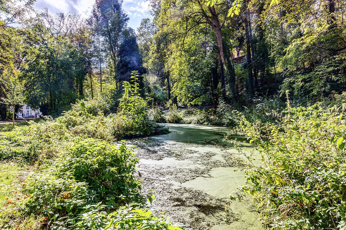 フラット 部屋数 2 部屋 | München-Thalkirchen | 70493 | Viel Natur