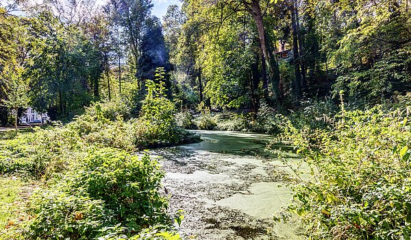 フラット 部屋数 2 部屋 | München-Thalkirchen | 70493 | Viel Natur