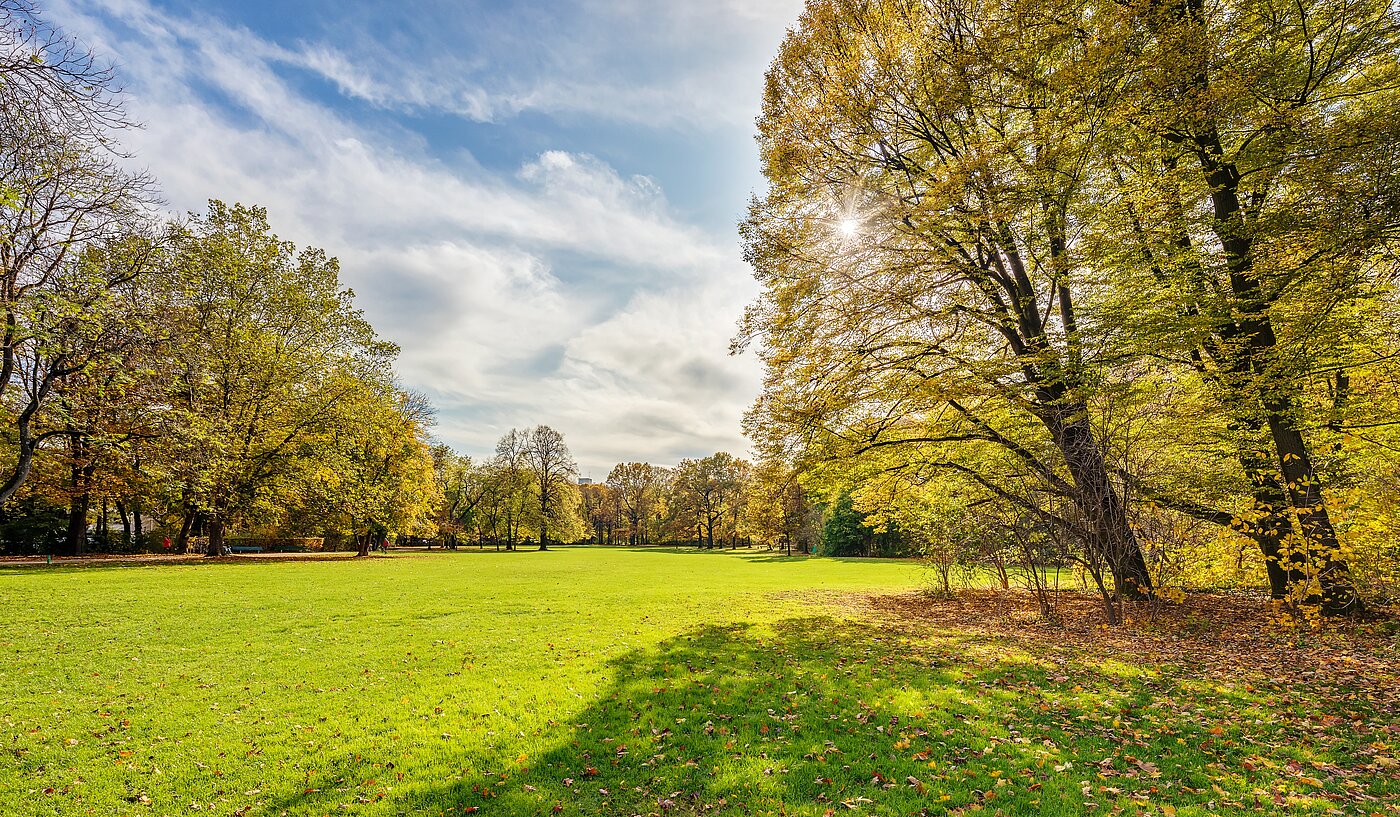 Apartment 部屋数 1 部屋 | München-Milbertshofen | 70188 | Naherholung