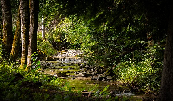 フラット 部屋数 3 部屋 | Bad Wiessee | 70053 | Zeiselbach