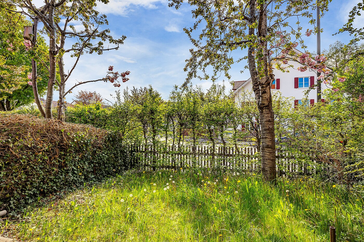 フラット 部屋数 1.5 部屋 | München-Aubing | 70000 | ...Privatgarten
