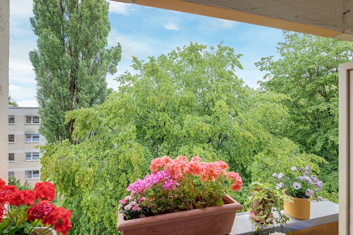 フラット 部屋数 1 部屋 | München-Forstenried | 2106ML6 | ...mit Blick ins Grüne