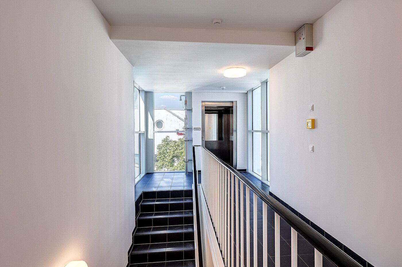 フラット 部屋数 2 部屋 | 70134 | ...Zugang zum Lift