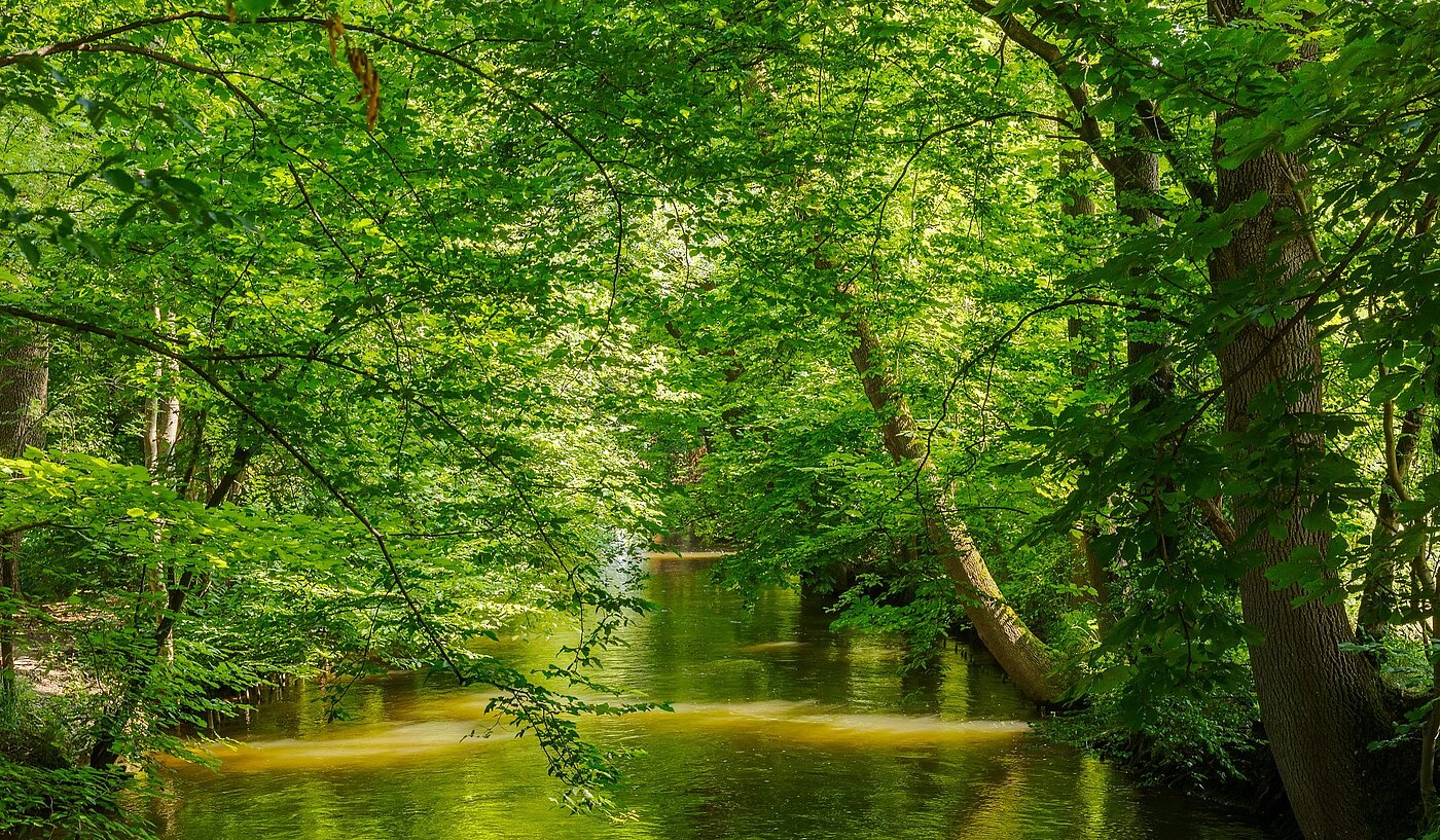 フラット 部屋数 2 部屋 | München-Pasing | 2108ML1 | Naherholung im Stadtpark