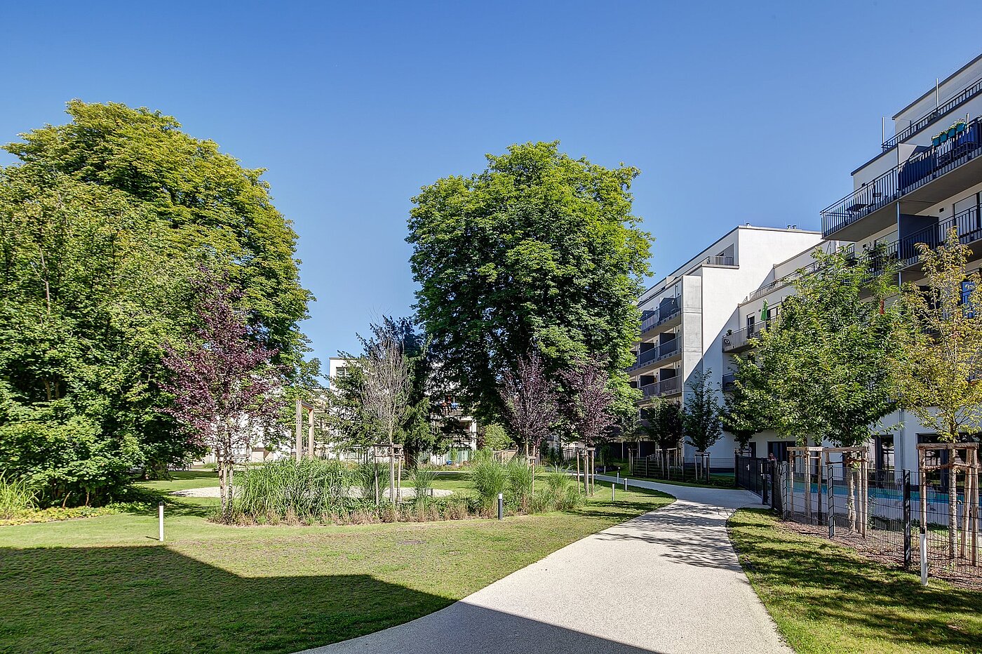 フラット 部屋数 1 部屋 | München-Ramersdorf | 1909ML1 | ...Grüne