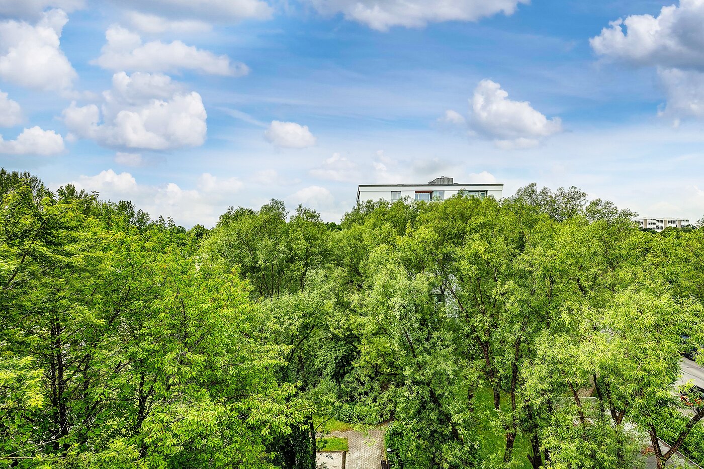 フラット 部屋数 2 部屋 | München-Bogenhausen | 2206ML3 | Sommerimpressionen