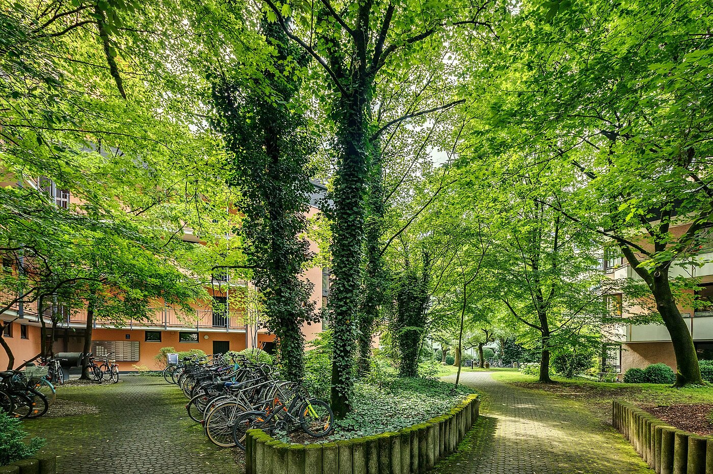 フラット 部屋数 1 部屋 | München-Haidhausen | 2102ML4 | Zugang zum Haus im Sommer