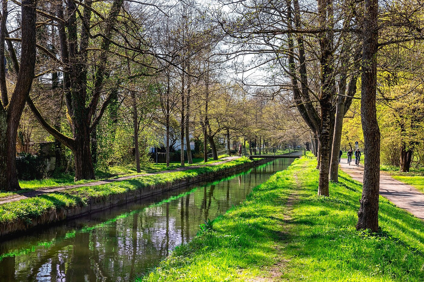 フラット 部屋数 2.5 部屋 | München-Obermenzing | 700191 | Pasing-Nymphenburger Kanal