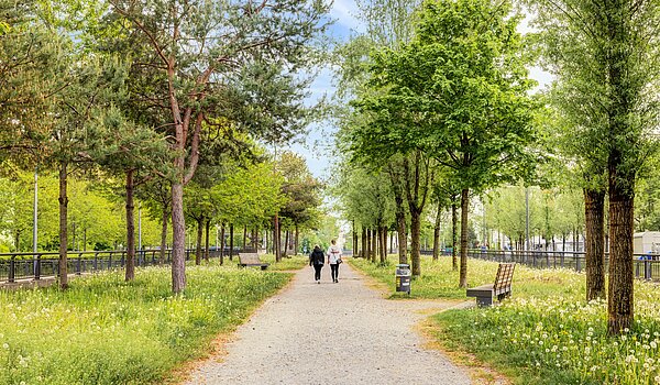 フラット 部屋数 2 部屋 | München-Sendling-Westpark | 704131 | Grüne Umgebung
