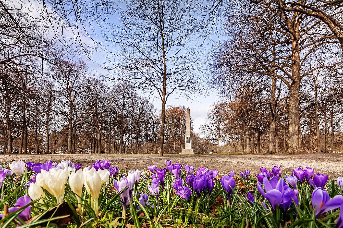 フラット 部屋数 2 部屋 | München-Schwabing | 2102ML3 | Der Luitpoldpark