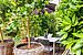 フラット 部屋数 1 部屋 | München-Haidhausen | 70228 | ...Südfrüchten und... | Thumbnail