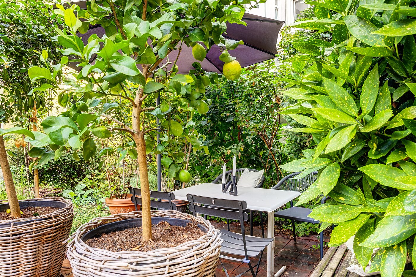 フラット 部屋数 1 部屋 | München-Haidhausen | 70228 | ...Südfrüchten und...