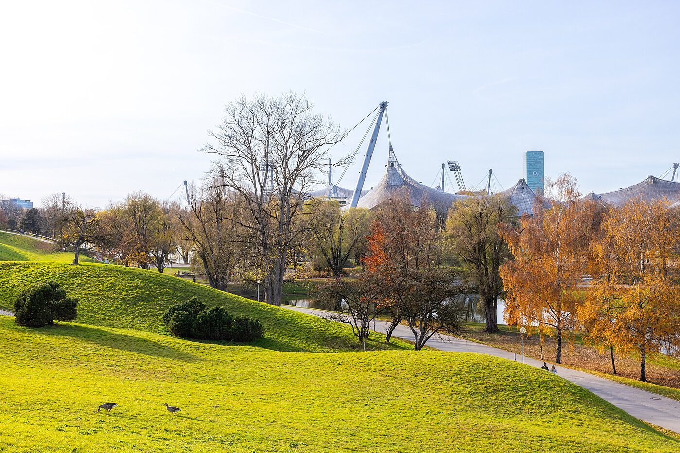 フラット 部屋数 3 部屋 | München-Schwabing | 70318 | Naherholung