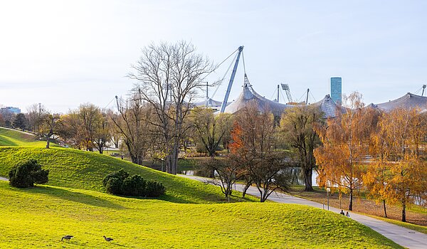 フラット 部屋数 3 部屋 | München-Schwabing | 70318 | Naherholung