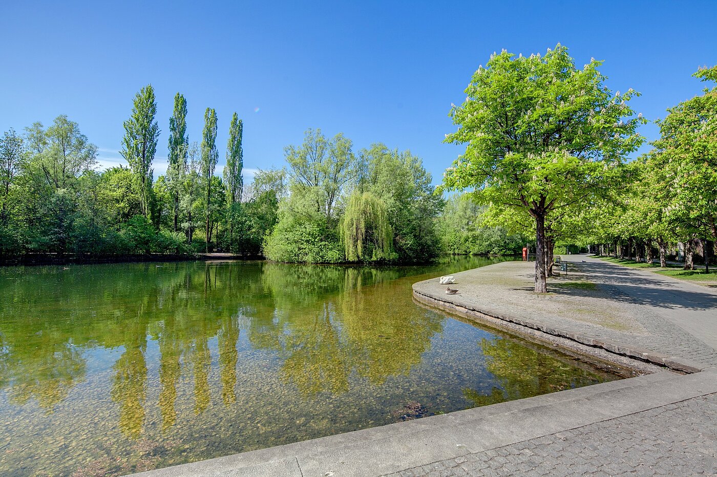 フラット 部屋数 2 部屋 | München-Schwabing | 70102 | Schwabinger See