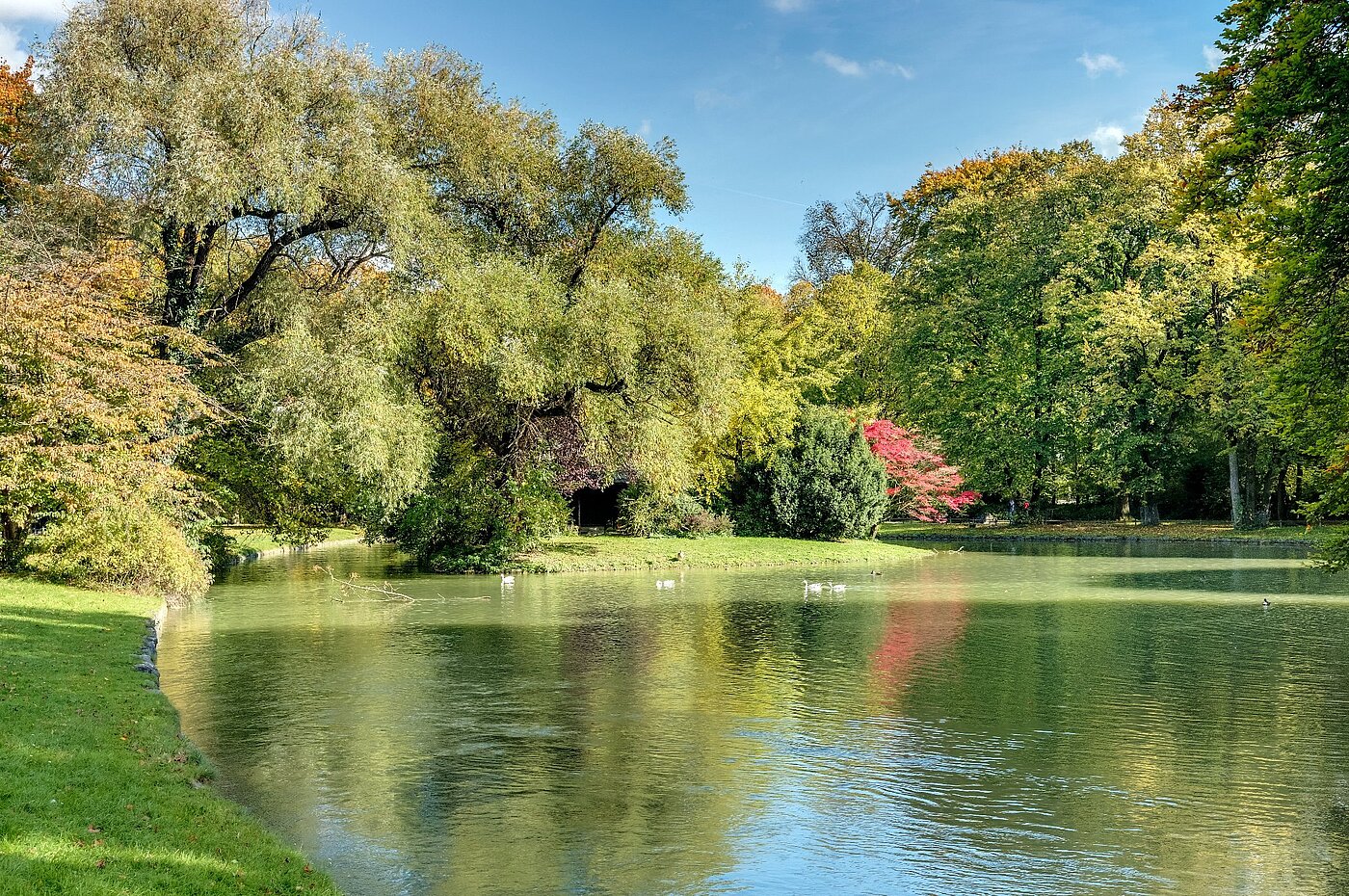 レイズド・グラウンドフロアー（一階が地表よりも高い） 部屋数 2 部屋 | München-Lehel | 2012ML1 | Herbst im Englischen Garten