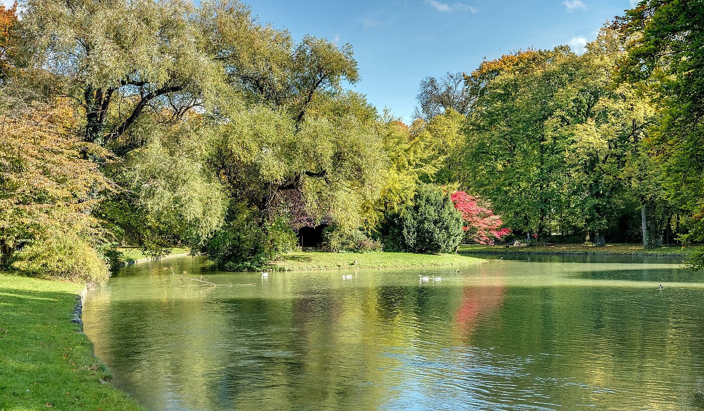 レイズド・グラウンドフロアー（一階が地表よりも高い） 部屋数 2 部屋 | München-Lehel | 2012ML1 | Herbst im Englischen Garten