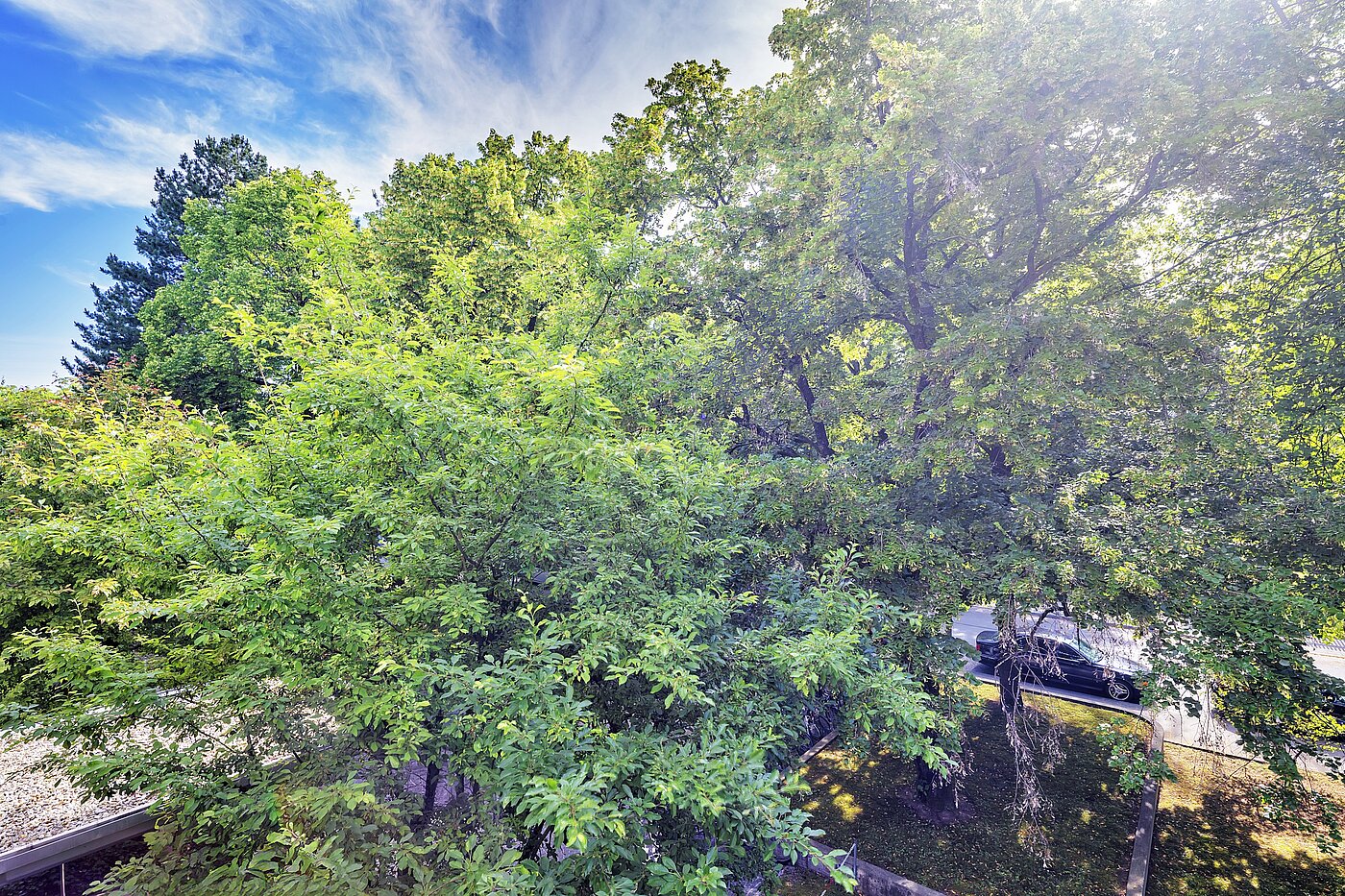 フラット 部屋数 3.5 部屋 | München-Bogenhausen | 70267 | ...Ausblick ins Grüne