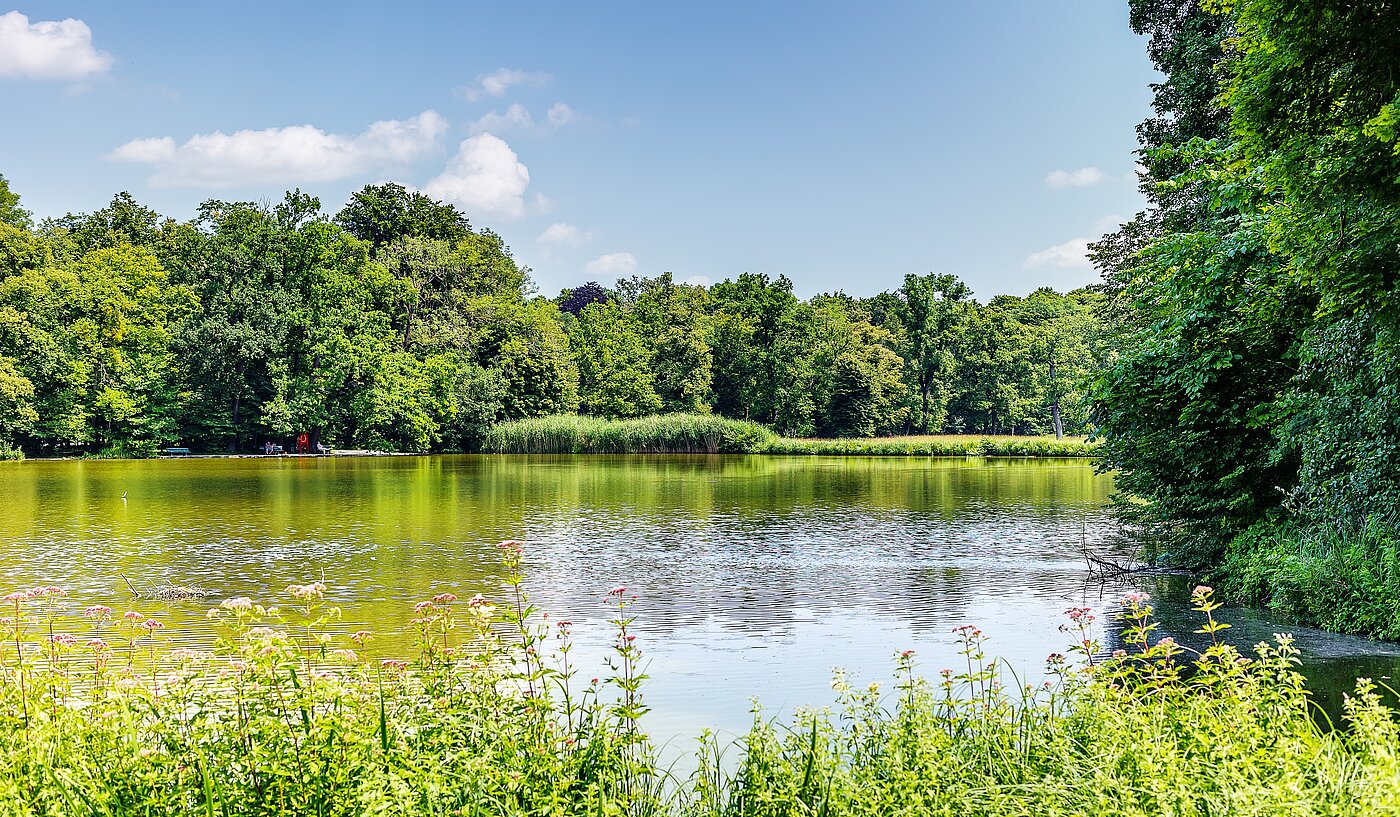 フラット 部屋数 2.5 部屋 | München-Obermenzing | 700191 | Badenburger See