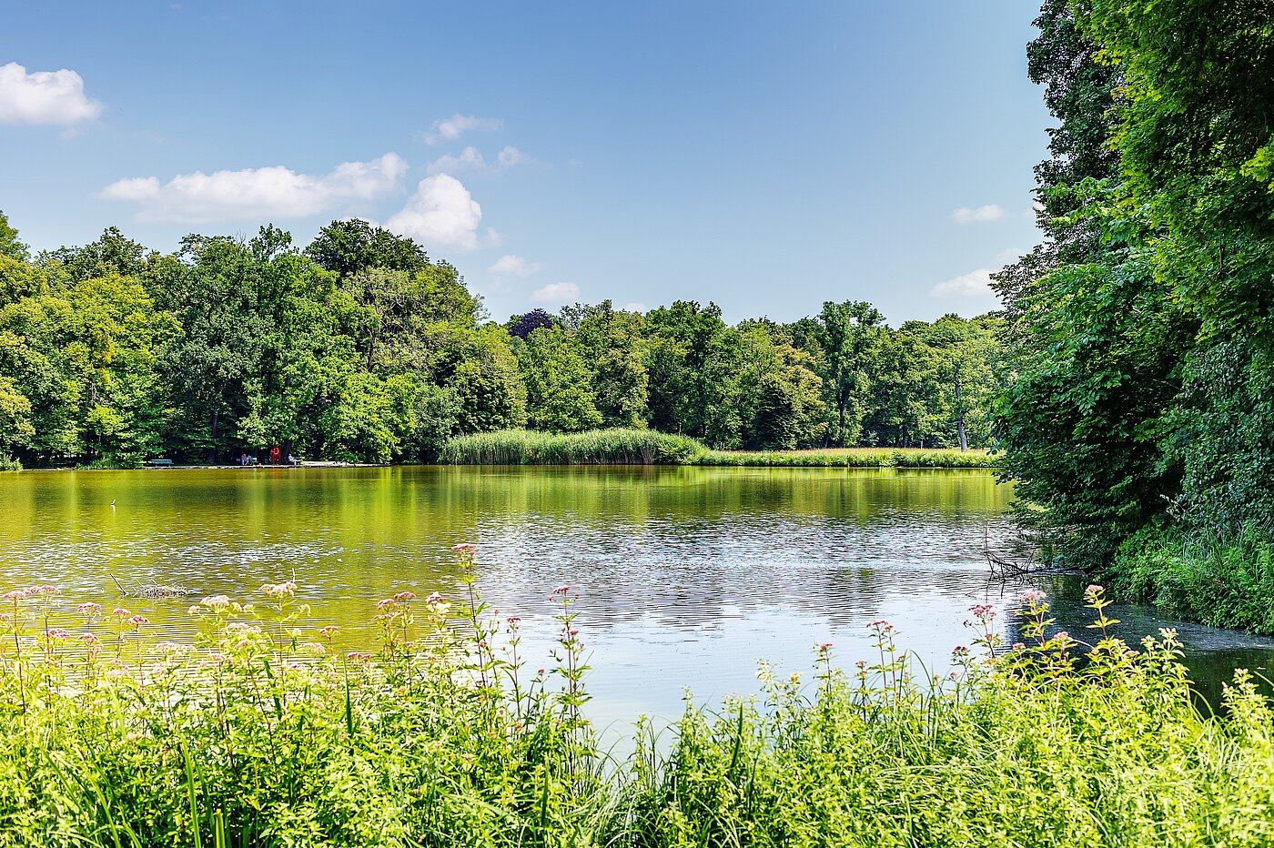 フラット 部屋数 2.5 部屋 | München-Obermenzing | 700191 | Badenburger See