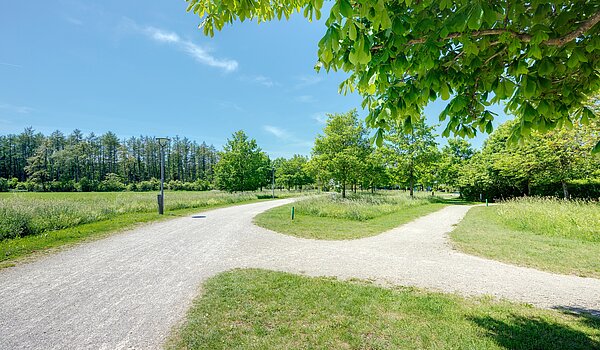 角のテラスハウス 部屋数 6 部屋 | München-Trudering | 70191 | ...Impressionen