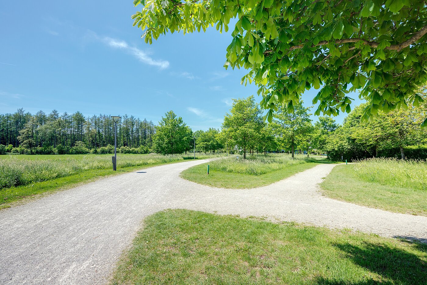 角のテラスハウス 部屋数 6 部屋 | München-Trudering | 70191 | ...Impressionen