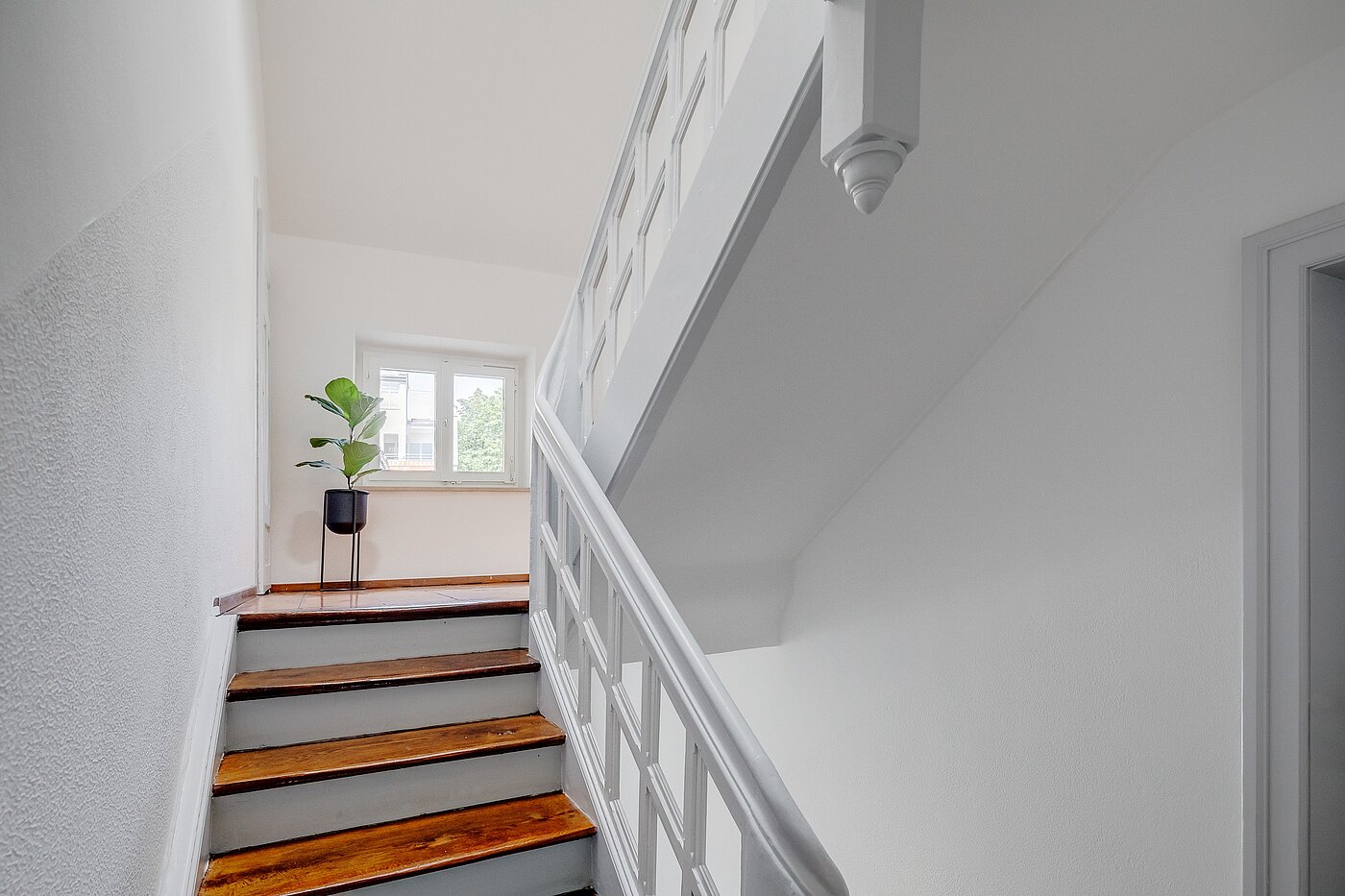 フラット 部屋数 2 部屋 | München-Isarvorstadt | 70089 | Charmantes Treppenhaus