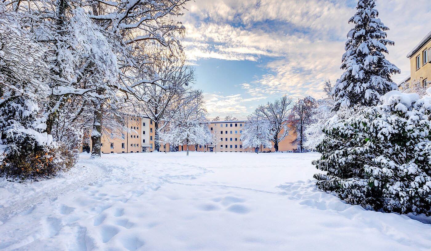 フラット 部屋数 1 部屋 | München | 70073 | Außenanlage