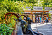 フラット 部屋数 2.5 部屋 | 70018 | Tierpark Hellabrunn | Thumbnail