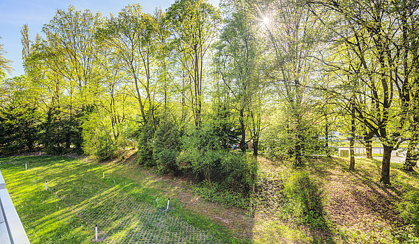 フラット 部屋数 3.5 部屋 | München-Bogenhausen | 70305 | Grüne Aussichten
