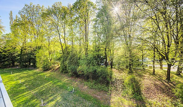 フラット 部屋数 3.5 部屋 | München-Bogenhausen | 703052 | Grüne Aussichten