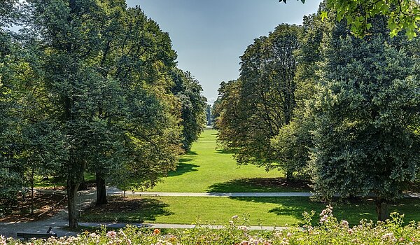 フラット 部屋数 1 部屋 | München-Schwabing | 70454 | Luitpoldpark