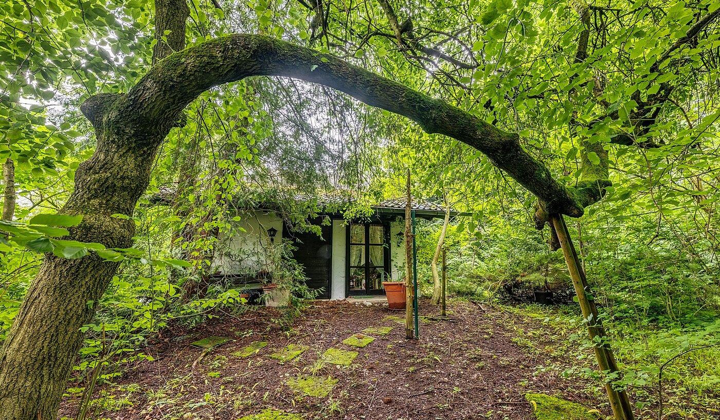 Grundstücke | 1767m² | Gräfelfing | 2106ML10 | Dicht eingewachsen