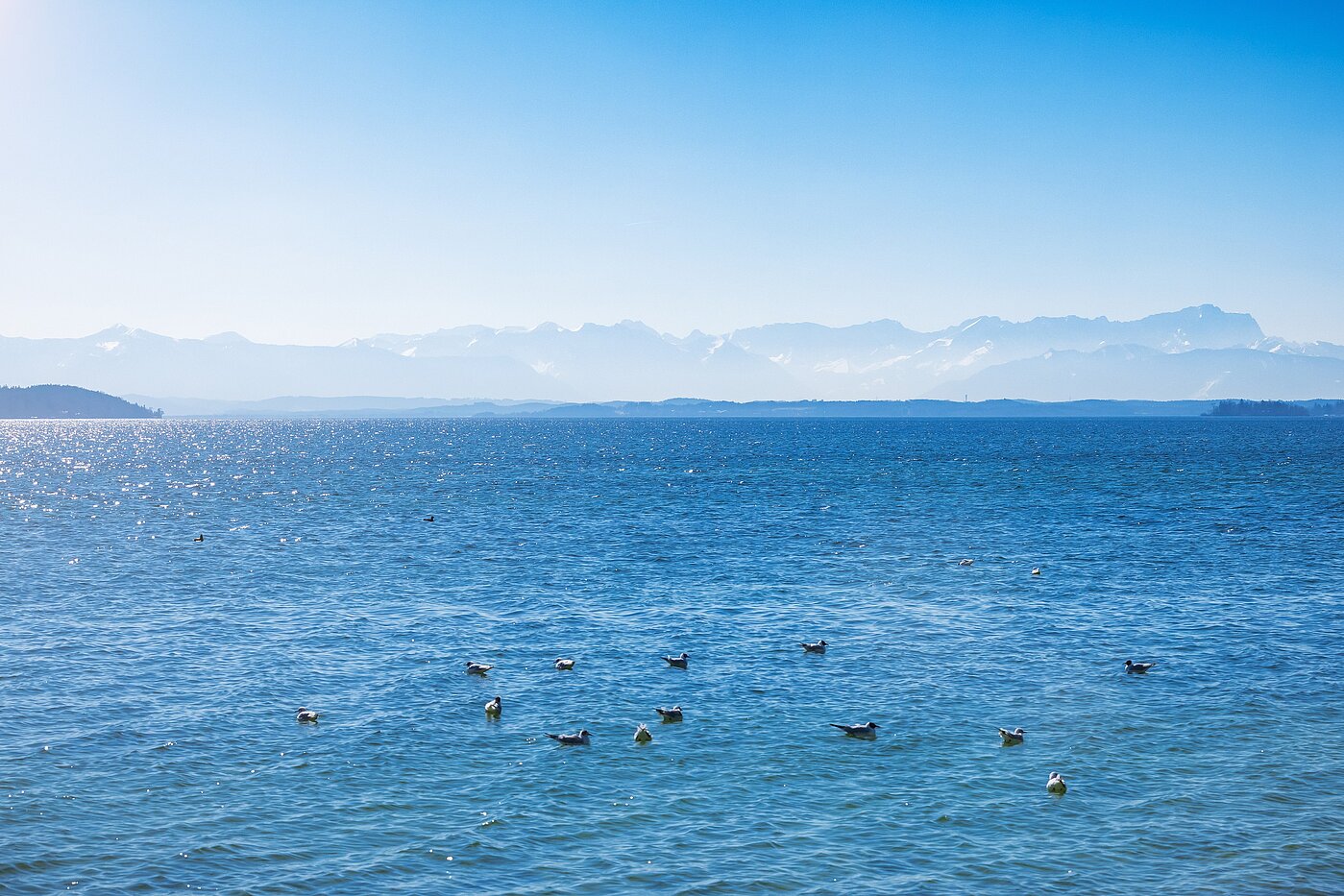 フラット 部屋数 1 部屋 | Starnberg | 2202ML2 | ...nicht weit entfernt