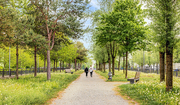 フラット 部屋数 2 部屋 | München-Sendling-Westpark | 70413 | Grüne Umgebung