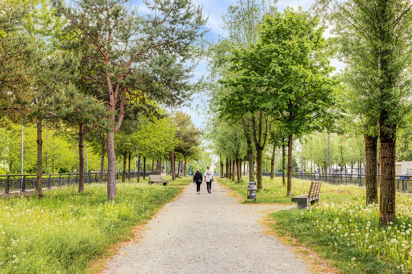 フラット 部屋数 2 部屋 | München-Sendling-Westpark | 70413 | Grüne Umgebung