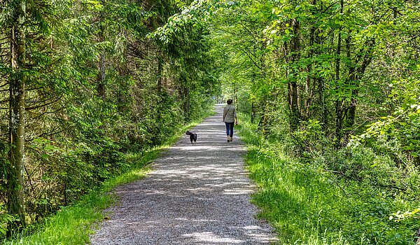 フラット 部屋数 6 部屋 | 70095 | Der Erlebnisweg an der Weissach