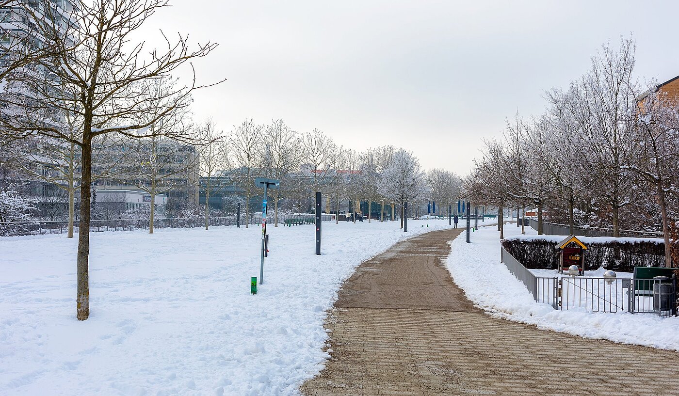 フラット 部屋数 3 部屋 | München-Milbertshofen | 1902ML3