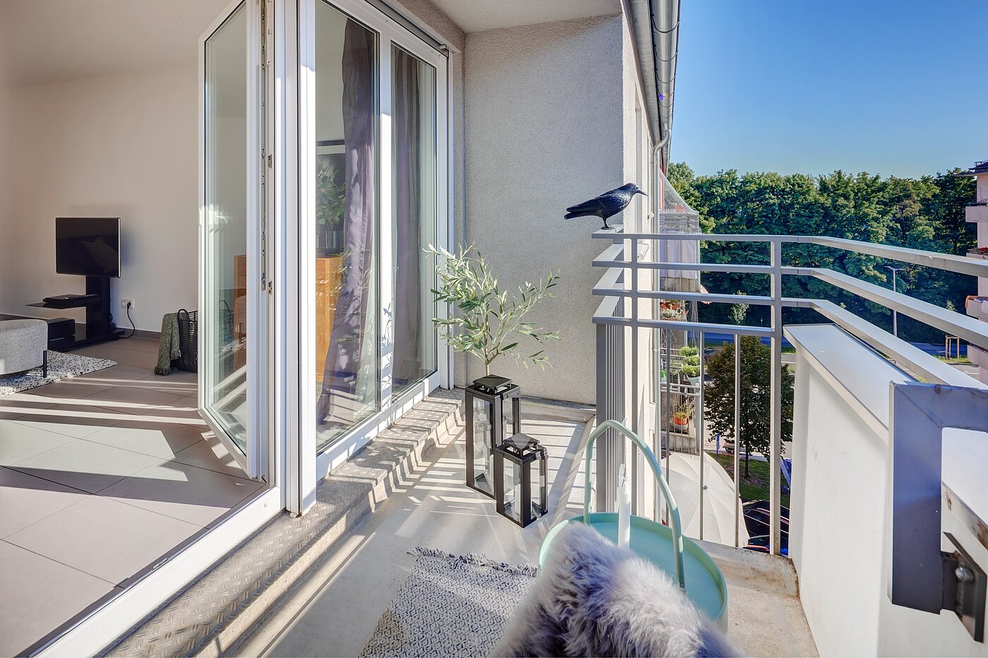 フラット 部屋数 2.5 部屋 | München-Obergiesing | 70270 | ...mit viel Platz