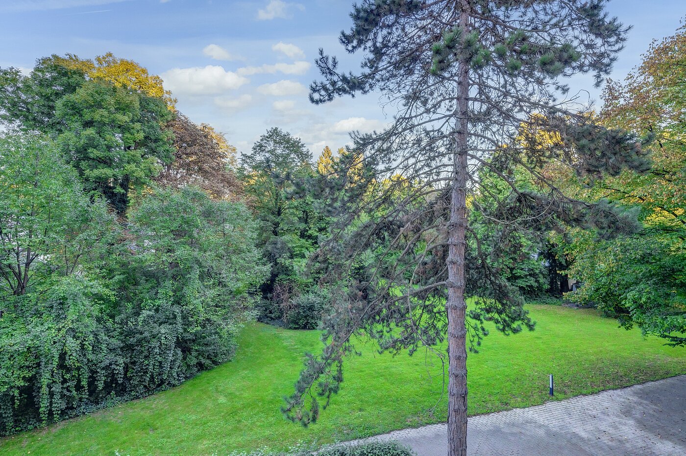 フラット 部屋数 1 部屋 | München-Bogenhausen | 70264 | ...ins Grüne