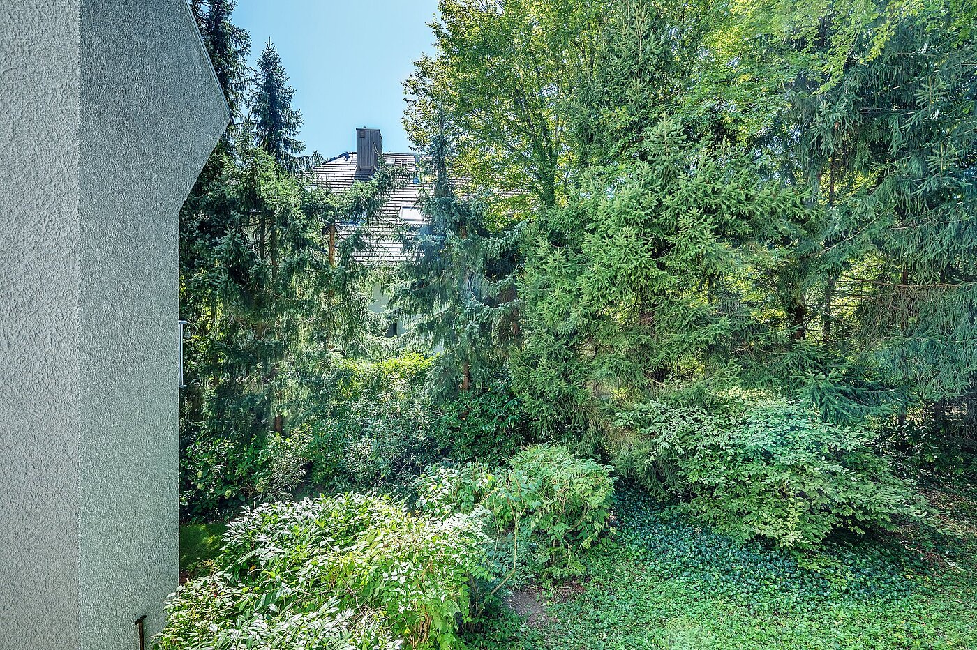 フラット 部屋数 3 部屋 | München-Harlaching | 1908ML6 | Blick ins Grüne