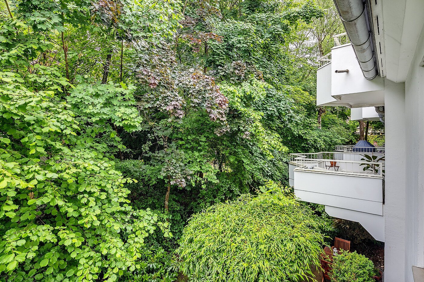 フラット 部屋数 3 部屋 | München-Harlaching | 2108ML3 | ...Blick in die grüne...