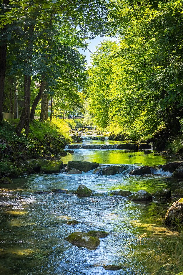 特別物件 部屋数 15 部屋 | Bad Wiessee | 701591 | Söllbach