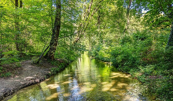 メゾネット・マンション（複数階にわたるマンション） 部屋数 3 部屋 | München-Lehel | 2209ML5 | ...Englischen Garten...