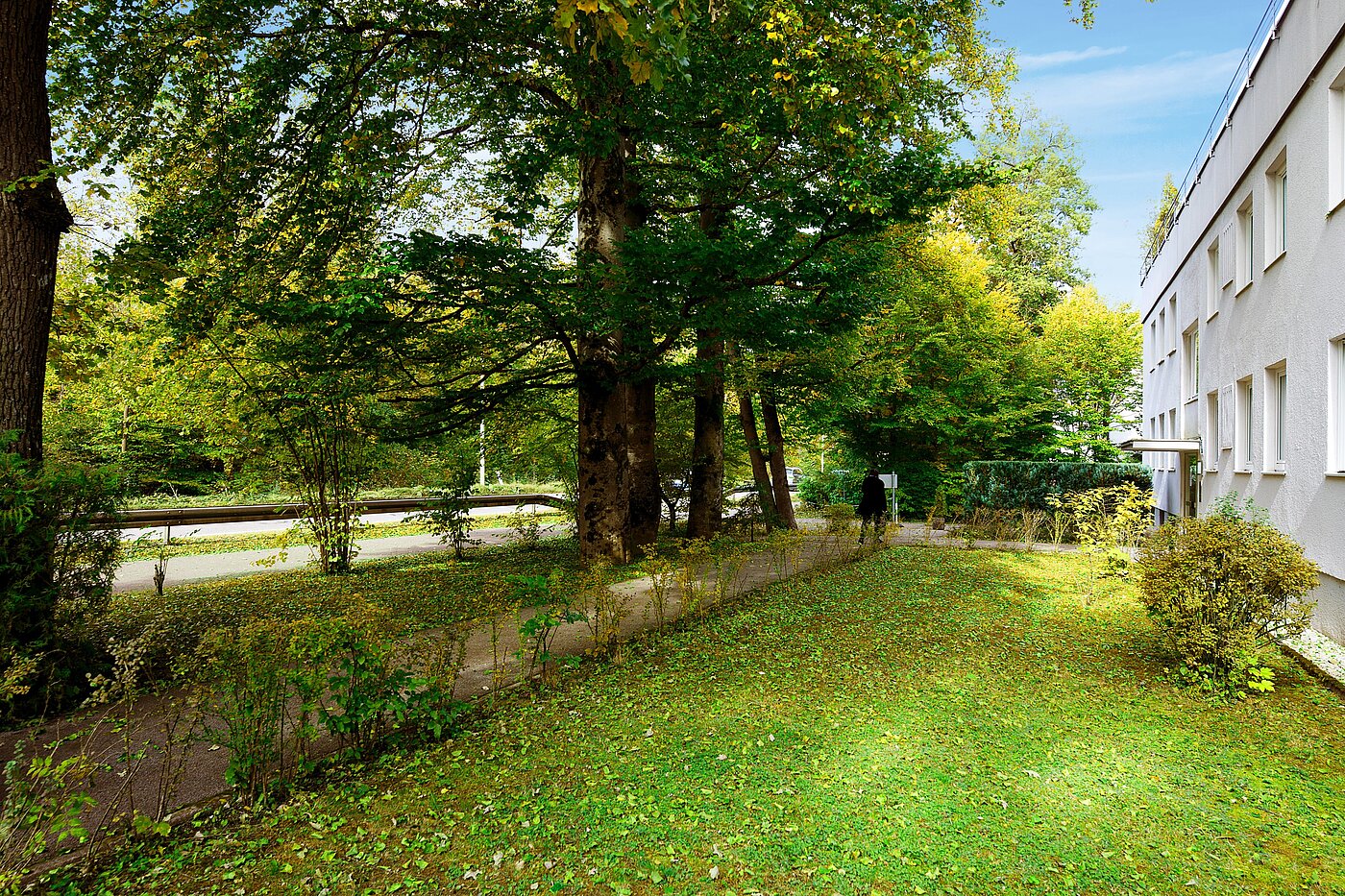 フラット 部屋数 1 部屋 | München-Solln | 70137 | Grüne Aussichten