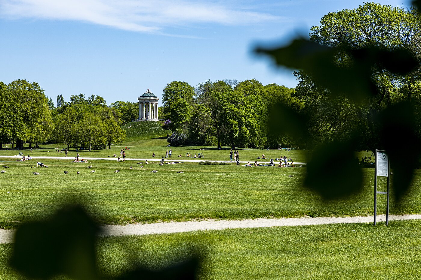 フラット 部屋数 3 部屋 | 70046 | Englischer Garten