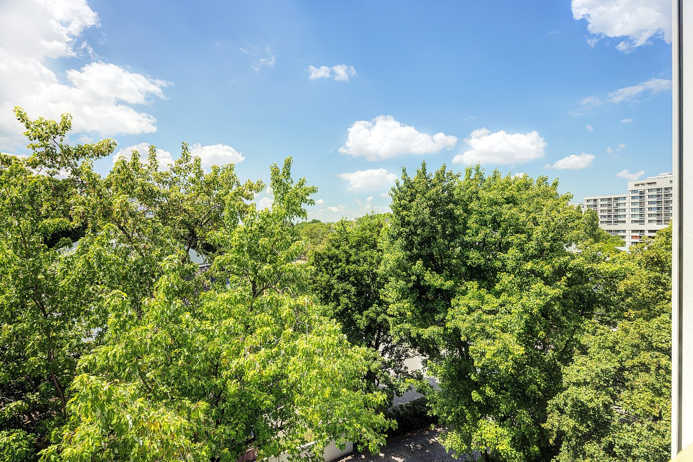 フラット 部屋数 2 部屋 | München-Hadern | 704101 | Ausblick vom Wintergarten