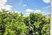 フラット 部屋数 2 部屋 | München-Hadern | 704101 | Ausblick vom Wintergarten | Thumbnail