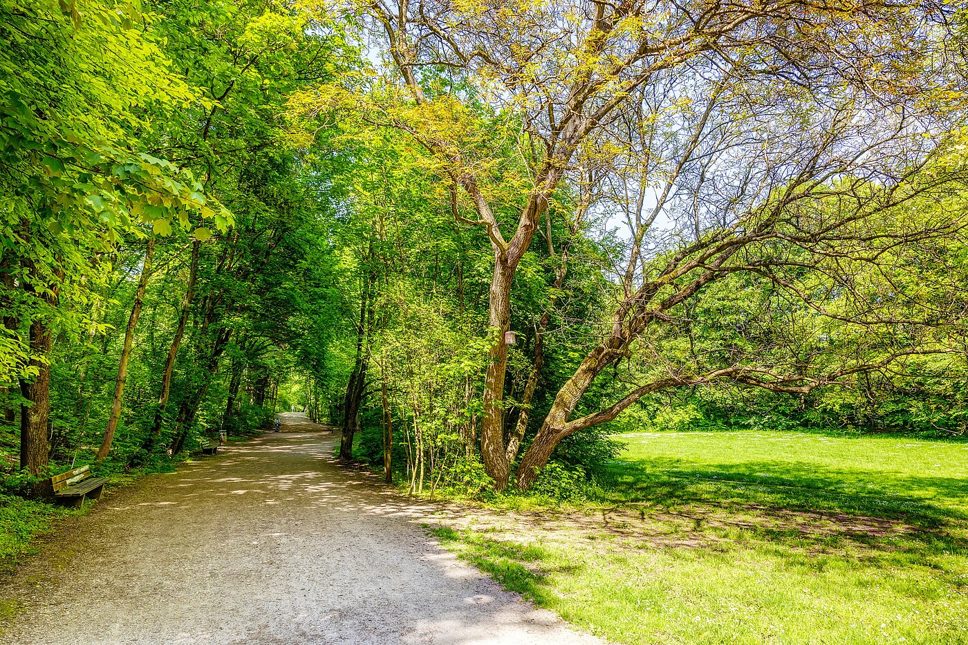 フラット 部屋数 2.5 部屋 | München-Sendling | 70067 | Vom Sendlinger Park aus...