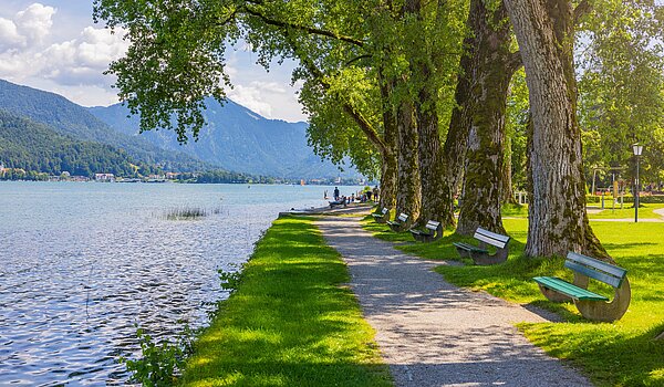 特別物件 部屋数 15 部屋 | Bad Wiessee | 701591 | Seepromenade Bad Wiessee